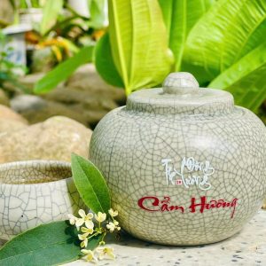 Cẩm Hương